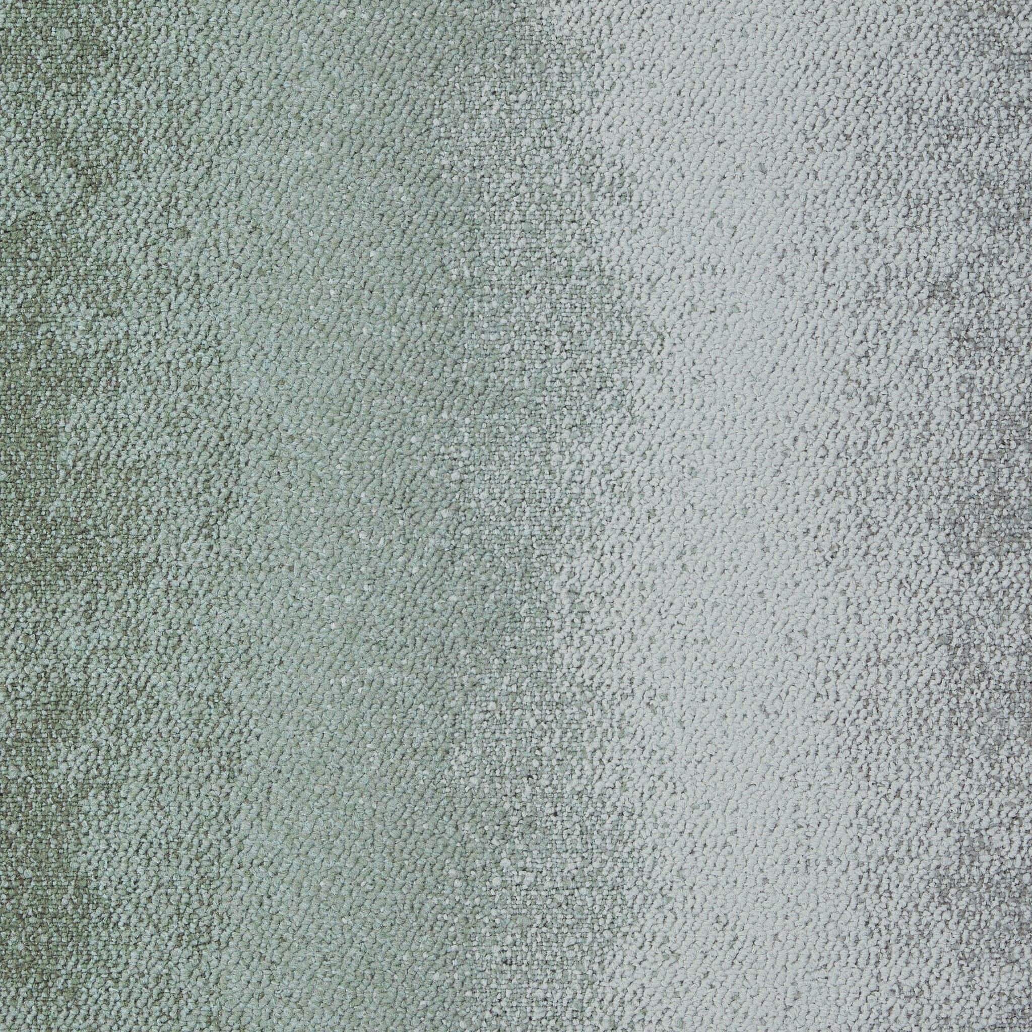 CE200 ObserveUncover